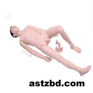 PVC nurse training model, male female catheterization manikin, nursing skill training doll, medical education manikin BD, injection training doll, XC-401A, Nurse Training Doll, Nursing Manikin BD, PVC Training Doll, Medical Manikin, Nursing Care Model, Male Nurse Training Doll Bangladesh, Full Body Nursing Manikin Bangladesh, PVC Nursing Training Model, Catheterization Training Manikin BD, Injection Practice Training Doll, High Quality Nurse Training Doll Male XC-401A Bangladesh, Full Body PVC Nursing Manikin with Internal Organs Bangladesh, Male Female Catheterization Injection Training Manikin for Nursing Students, XC-401A Nurse Training Doll for Hospital Skill Lab Bangladesh, Professional Full Body Nursing Care Training Model for Medical College BD,