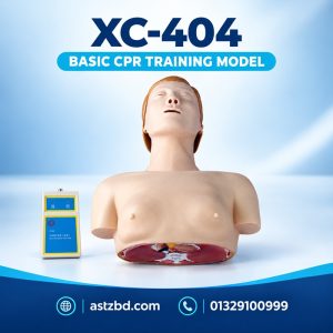 basic CPR training model XC-404 front view on a table