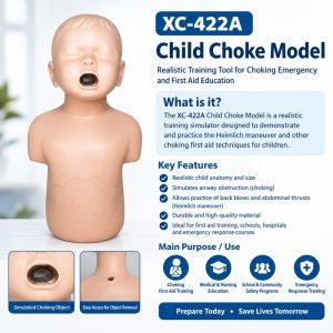 Front view of the XC-422A child choke model on a table