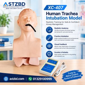 Front view of the XC-407 human trachea intubation model on a table