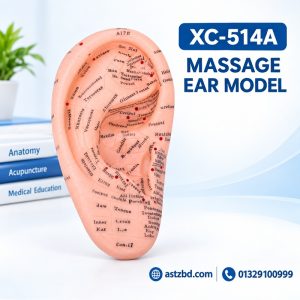 Side view of the massage ear model XC-514A with detailed PVC finish