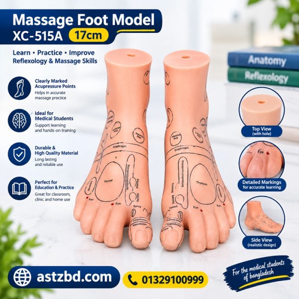 Massage Foot Model 17cm XC-515A – Best Proven Aid